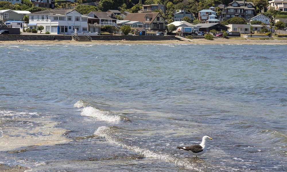 Moana Lodge Plimmerton Екстериор снимка